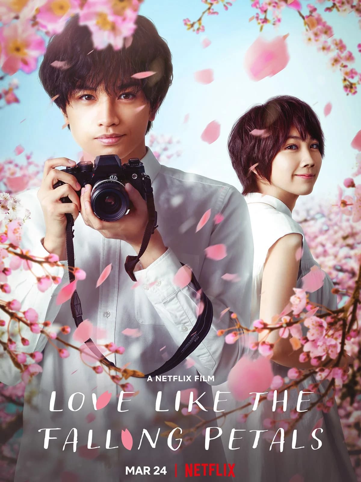 Love like the falling petals - Cover
