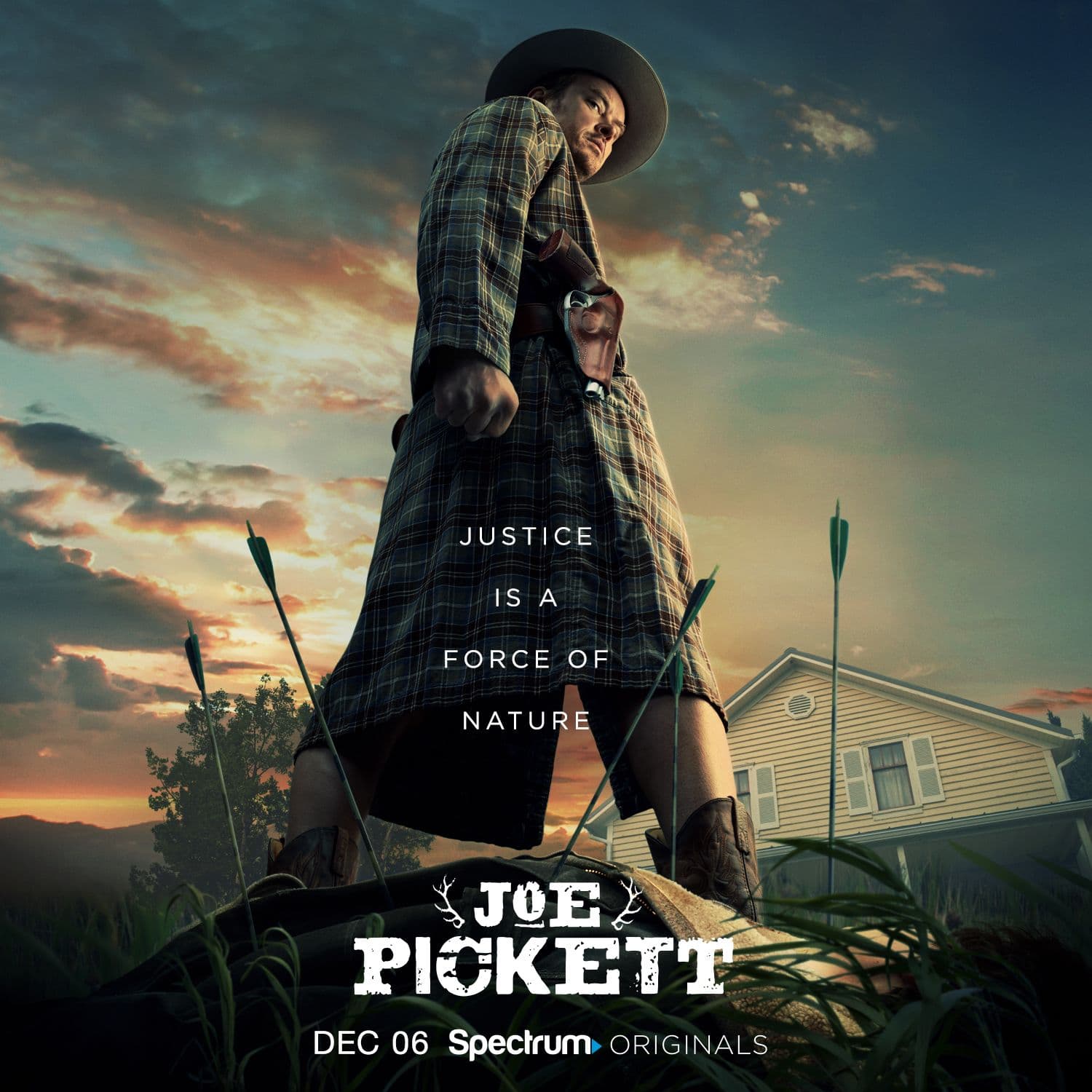 Joe Pickett - Cover