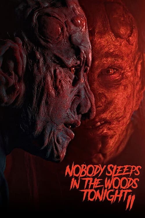 Nobody Sleeps in the Woods Tonight 2 - Cover