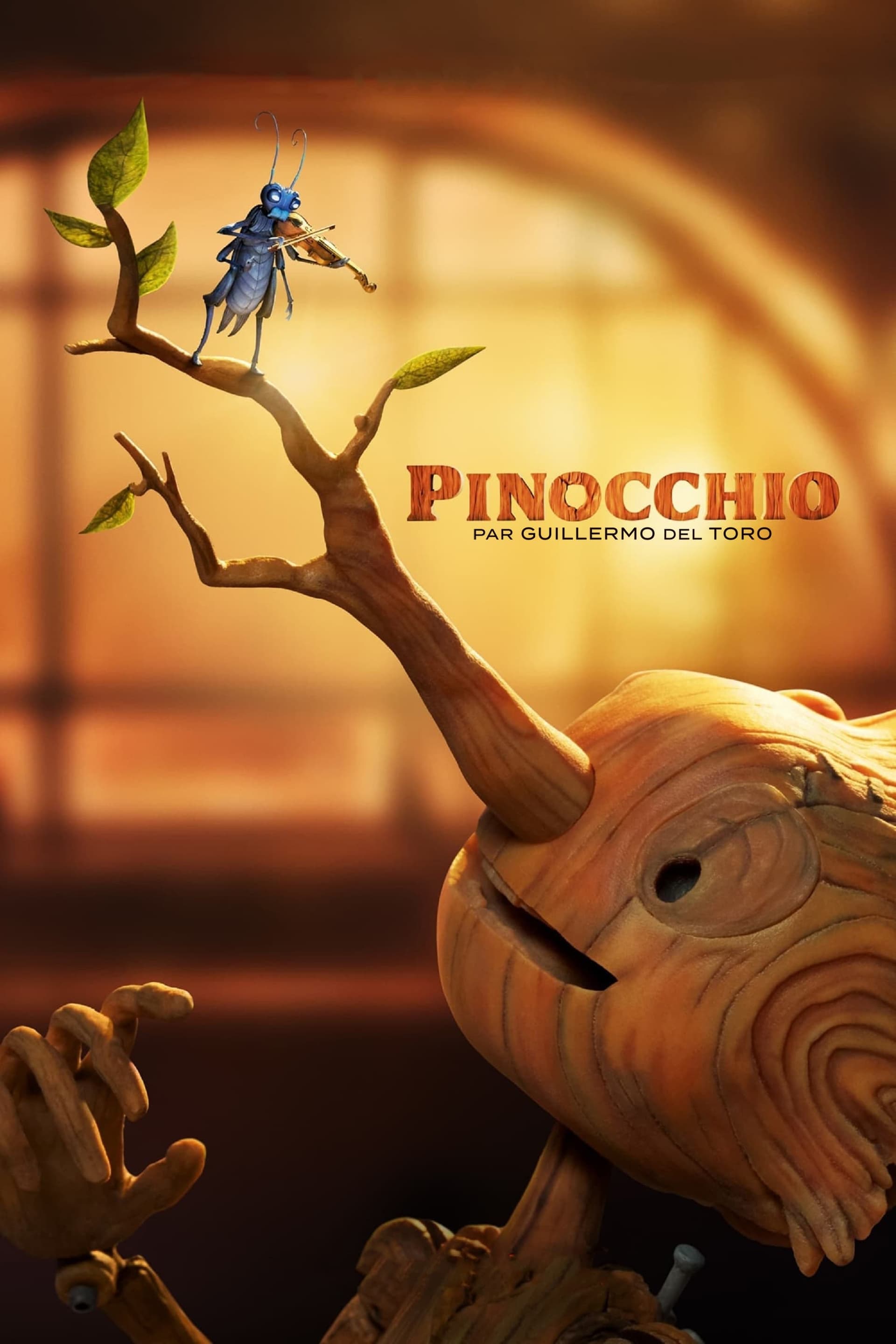 Pinocchio - Memory Image