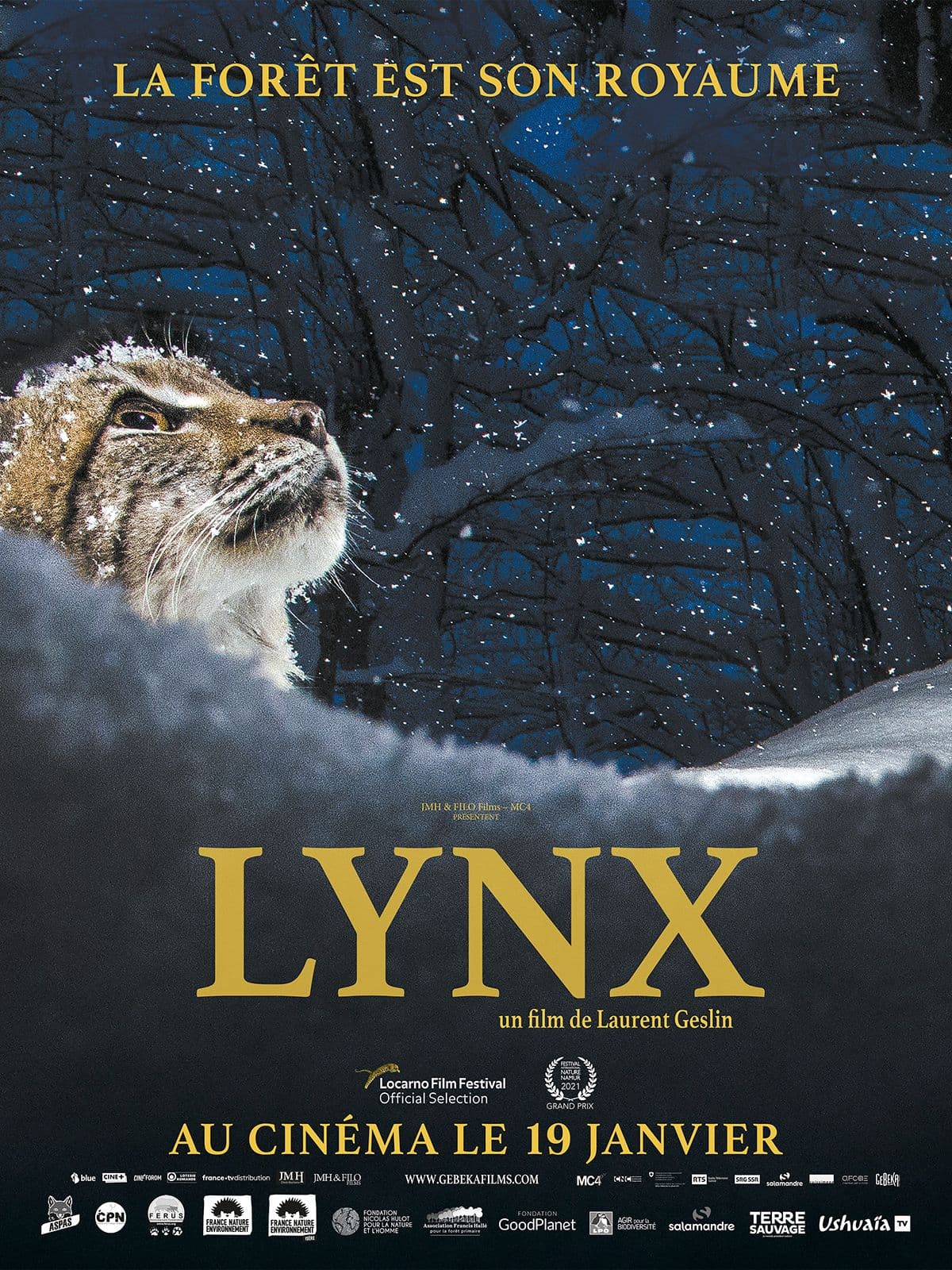 Lynx - Cover