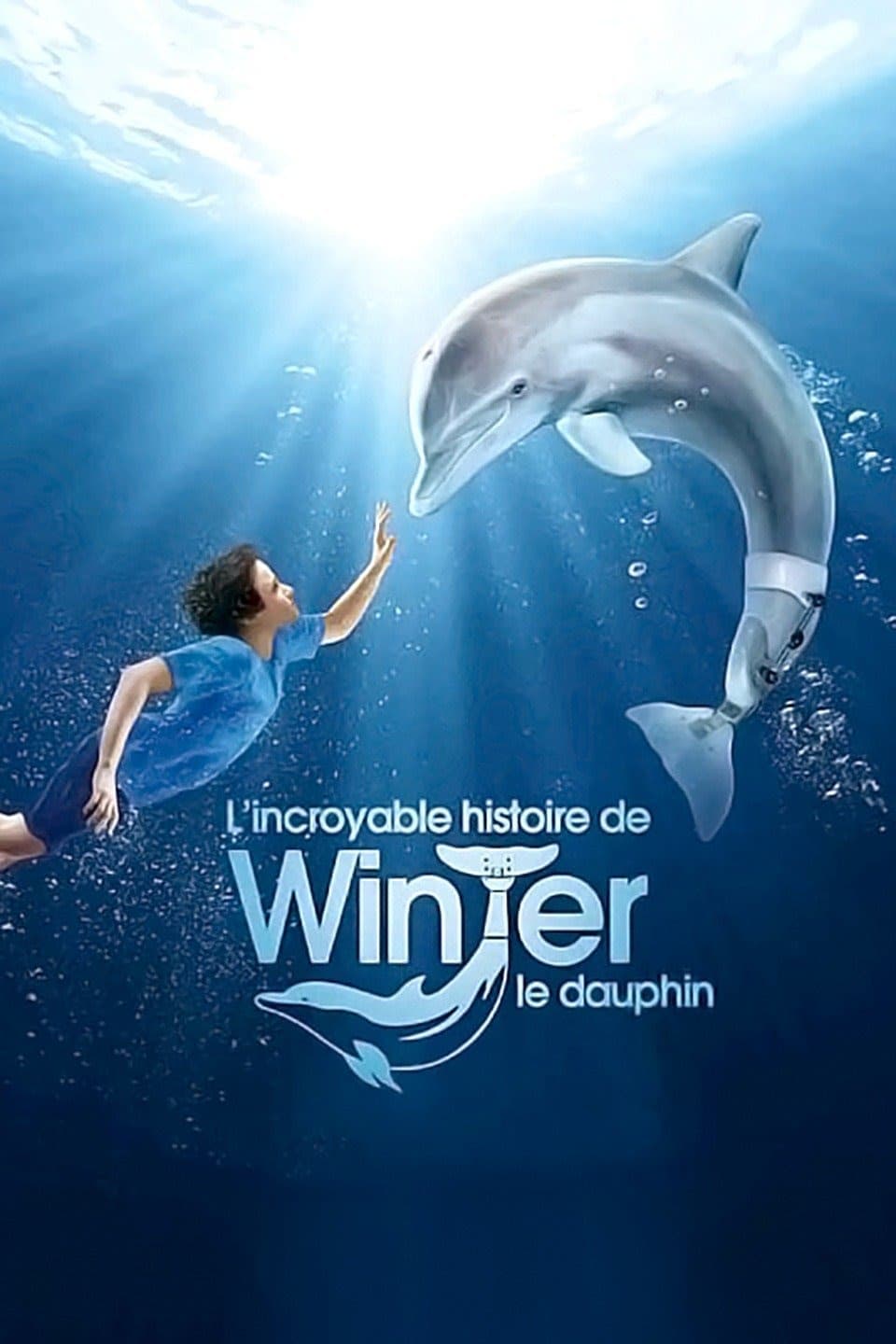 L'incroyable histoire de Winter le dauphin