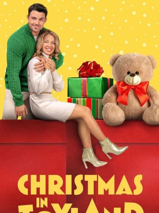 Il faut sauver la boutique de Noël - Cover