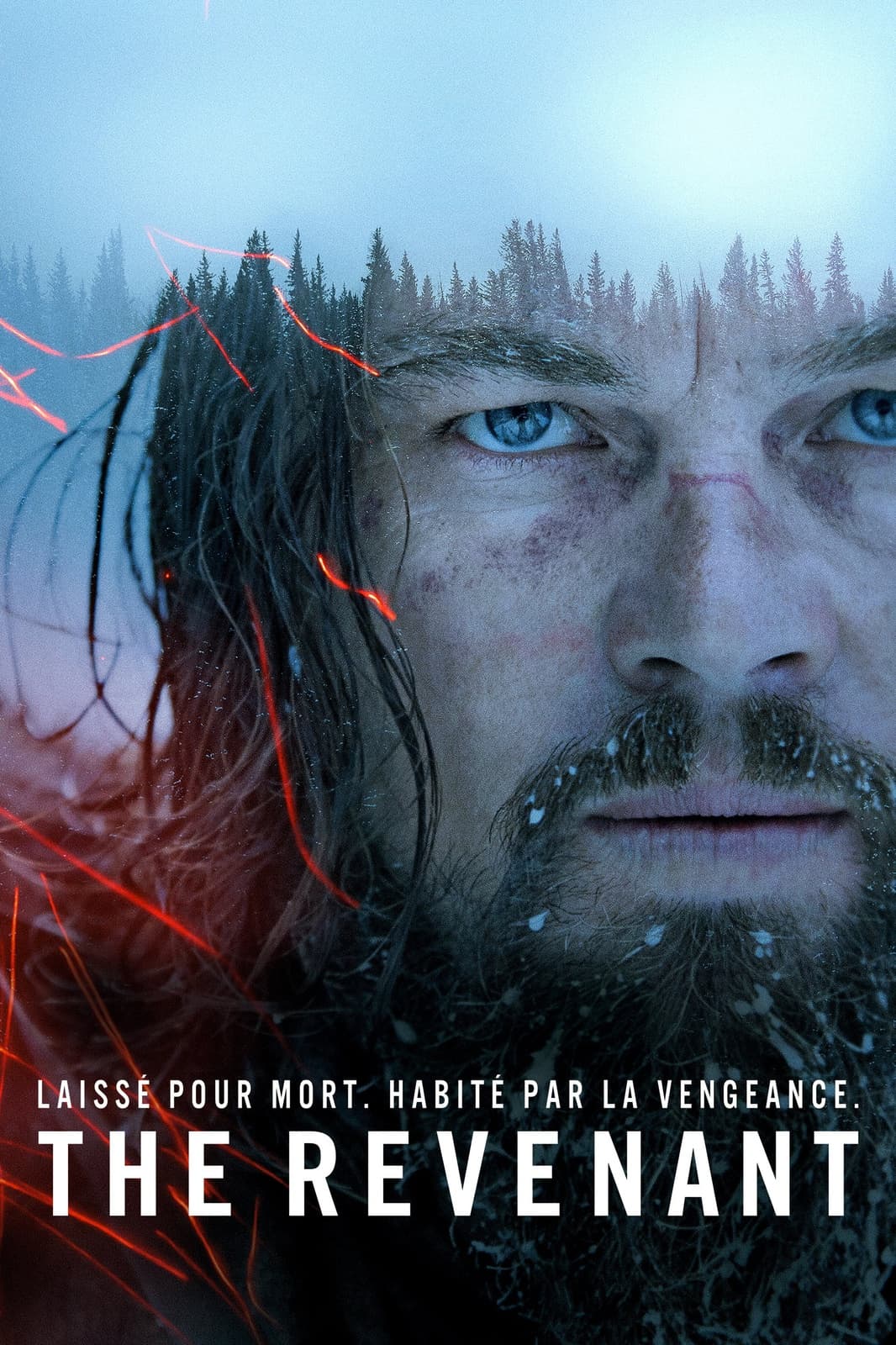 The revenant - Memory Image