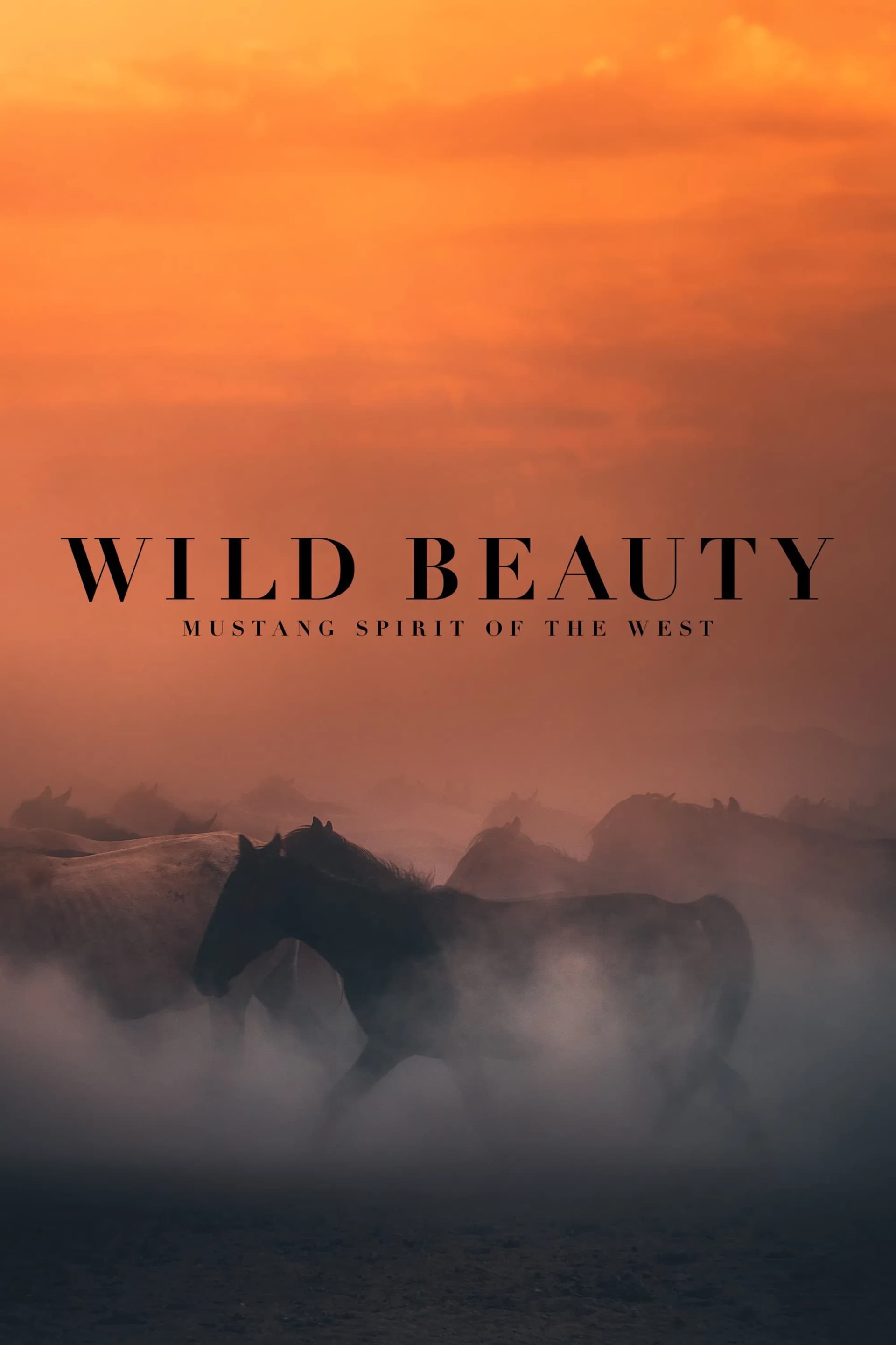 Wild Beauty: Mustang Spirit of the West - Cover
