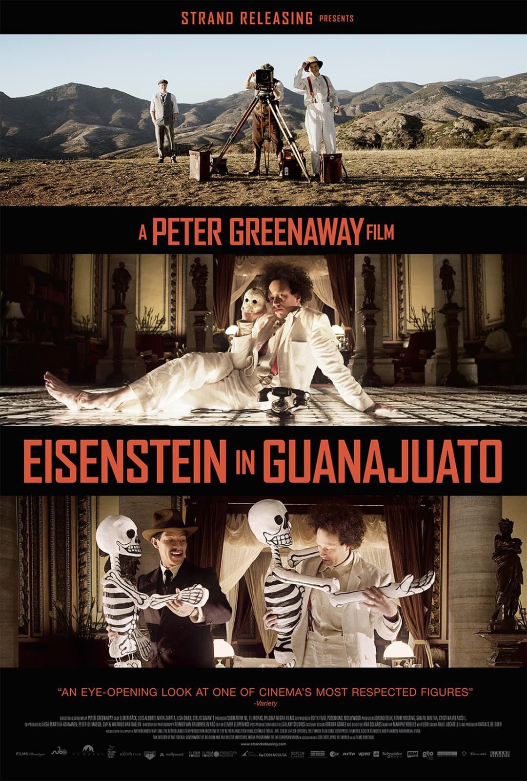 Eisenstein in Guanajuato - Cover