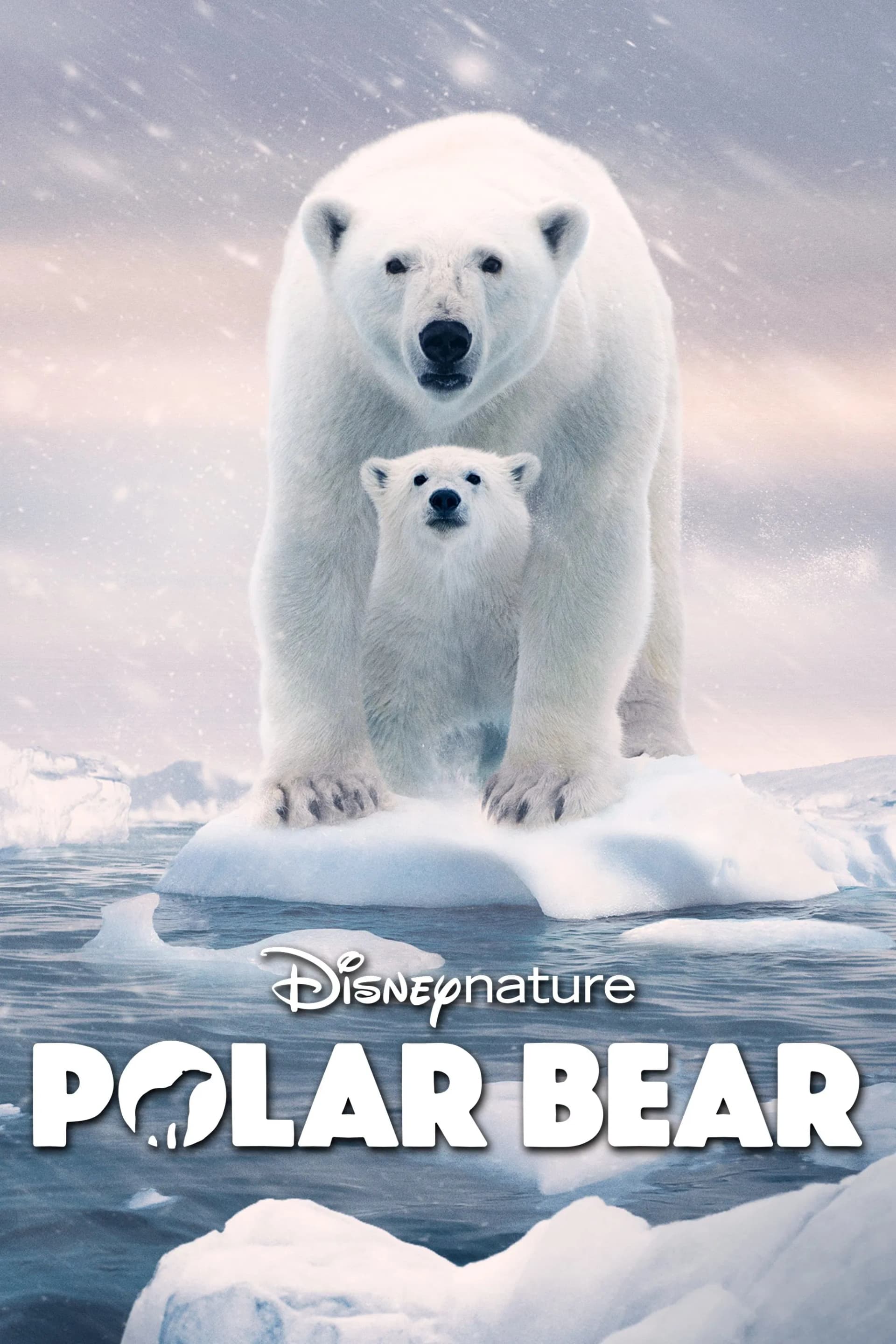 Polar Bear - Cover