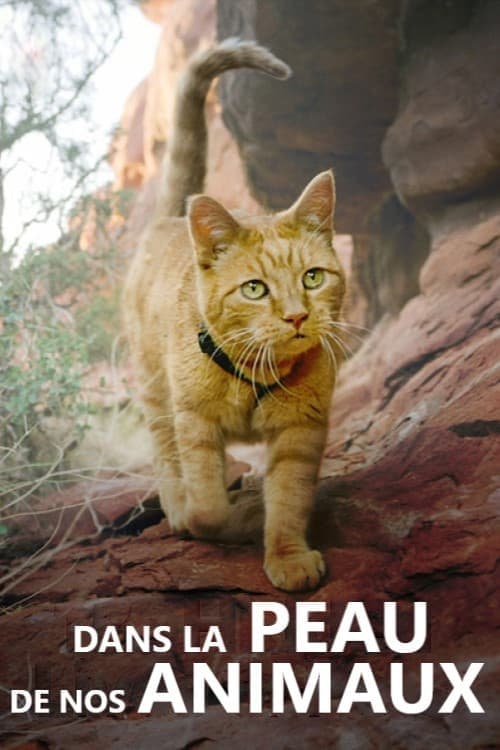Dans la peau de nos animaux - Cover