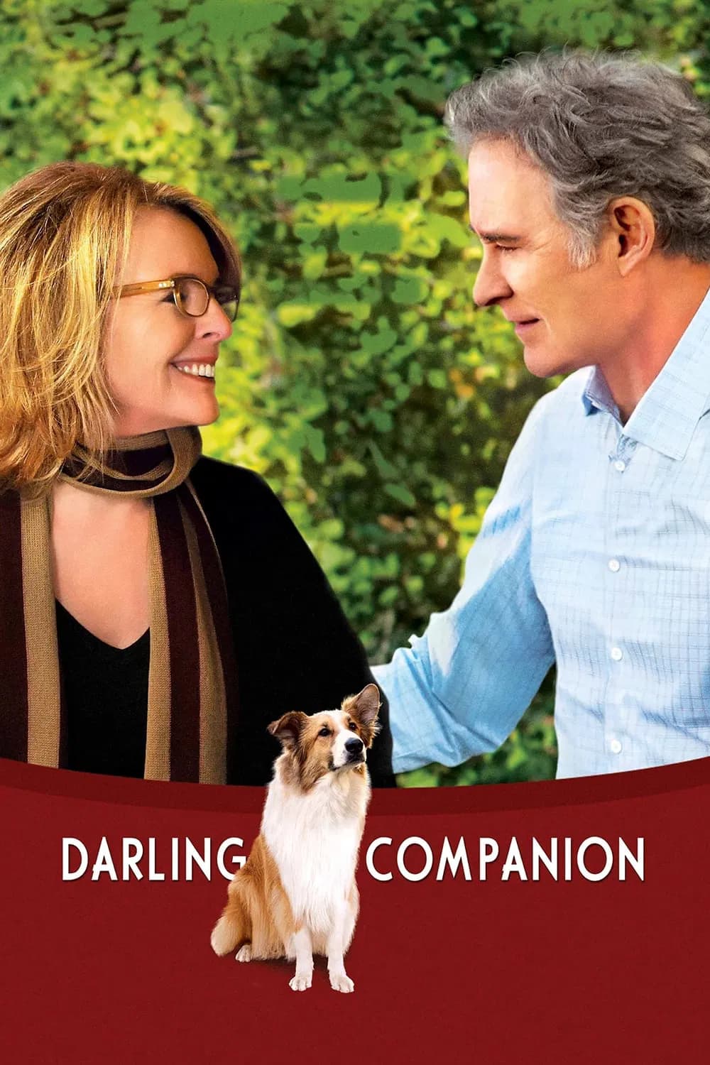 Darling Companion - Cover