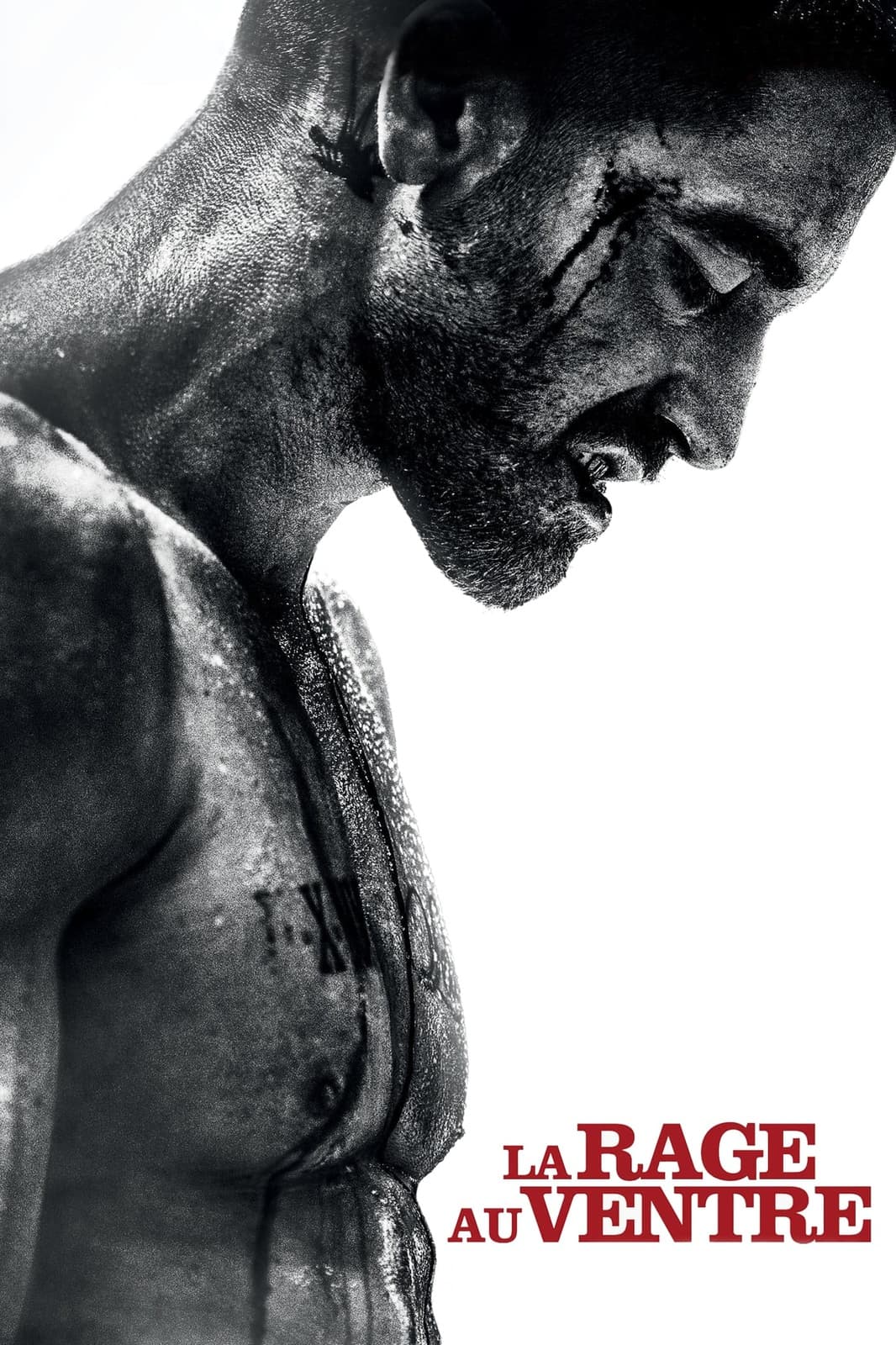 La rage au ventre - Memory Image