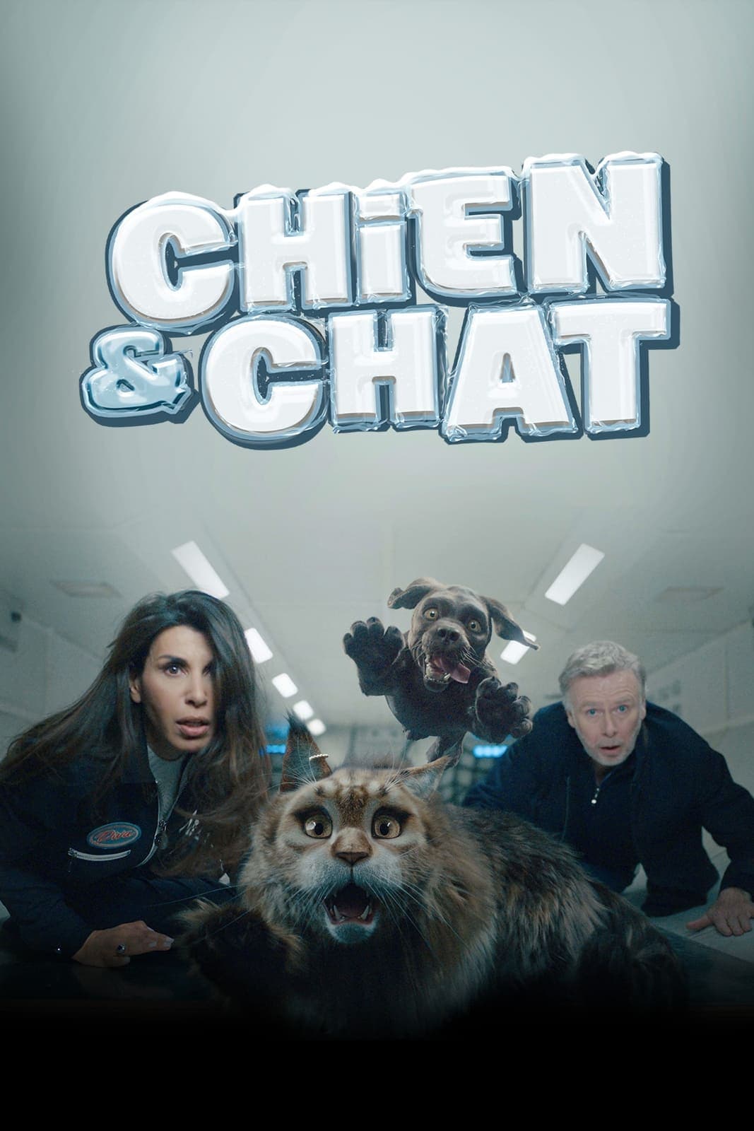 Chien et chat