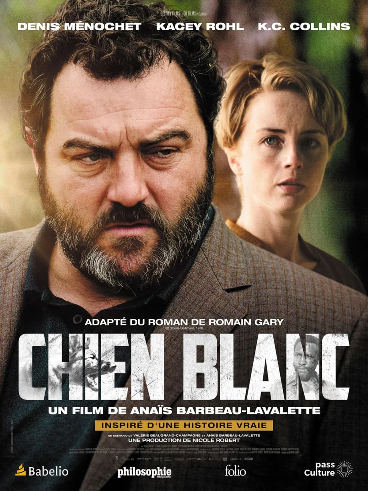 Chien blanc - Cover