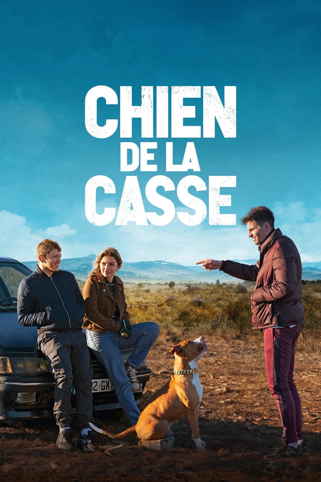 Chien de la casse - Memory Image