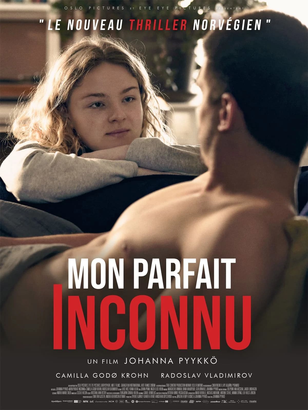 Mon parfait inconnu - Cover
