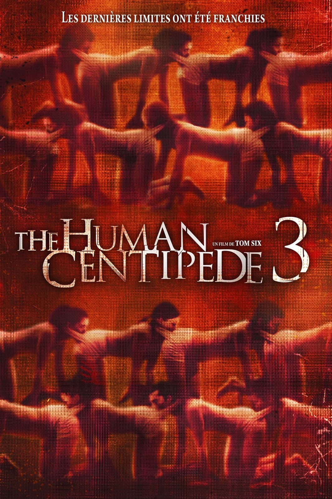 The Human Centipede III (Final Sequence)