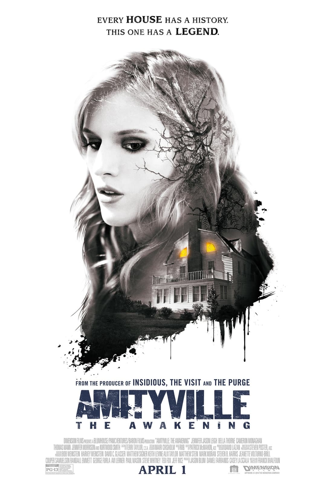 Amityville: The Awakening - Cover