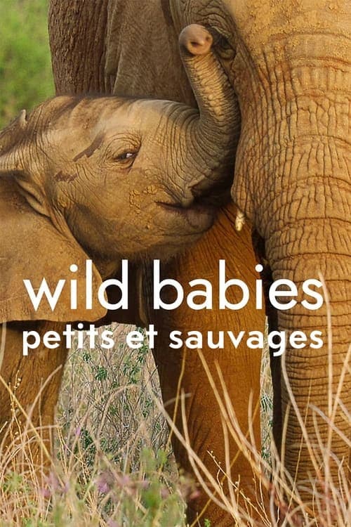 Wild Babies : Petits et Sauvages - Cover