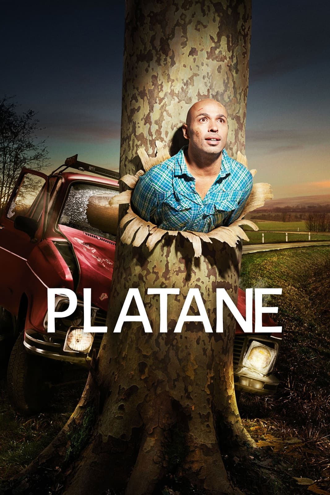 Platane - Cover