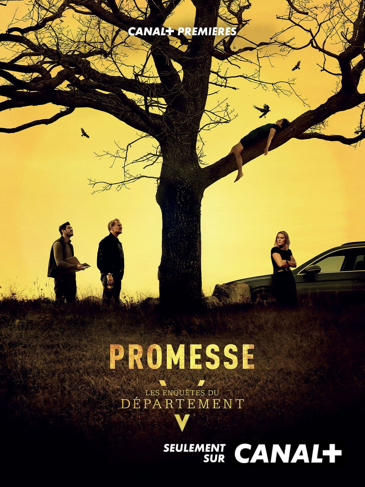 Les Enquêtes du département V : promesse - Cover