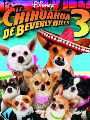 Le Chihuahua de Beverly Hills 3 : Viva La Fiesta ! - Cover