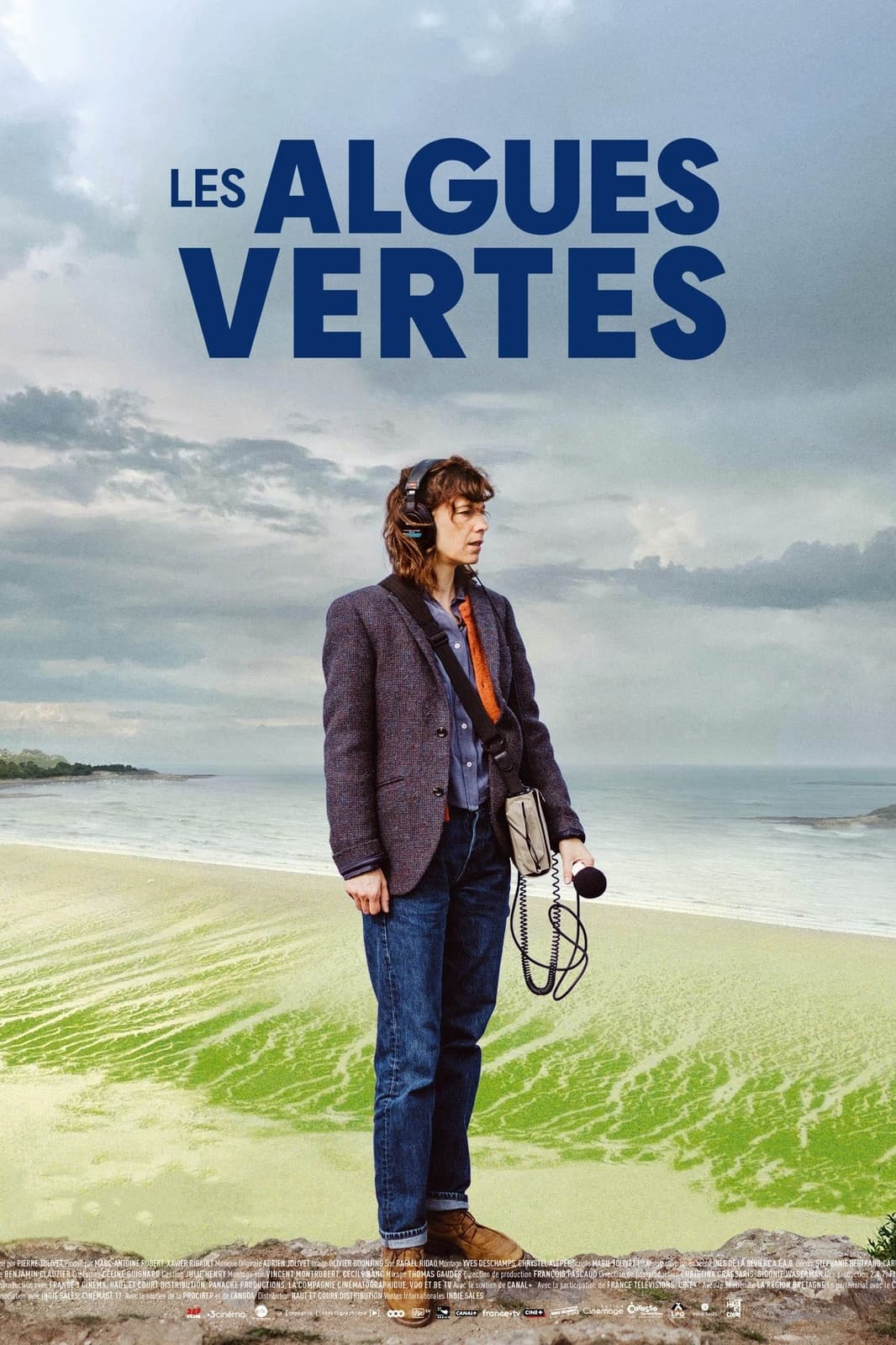Les algues vertes