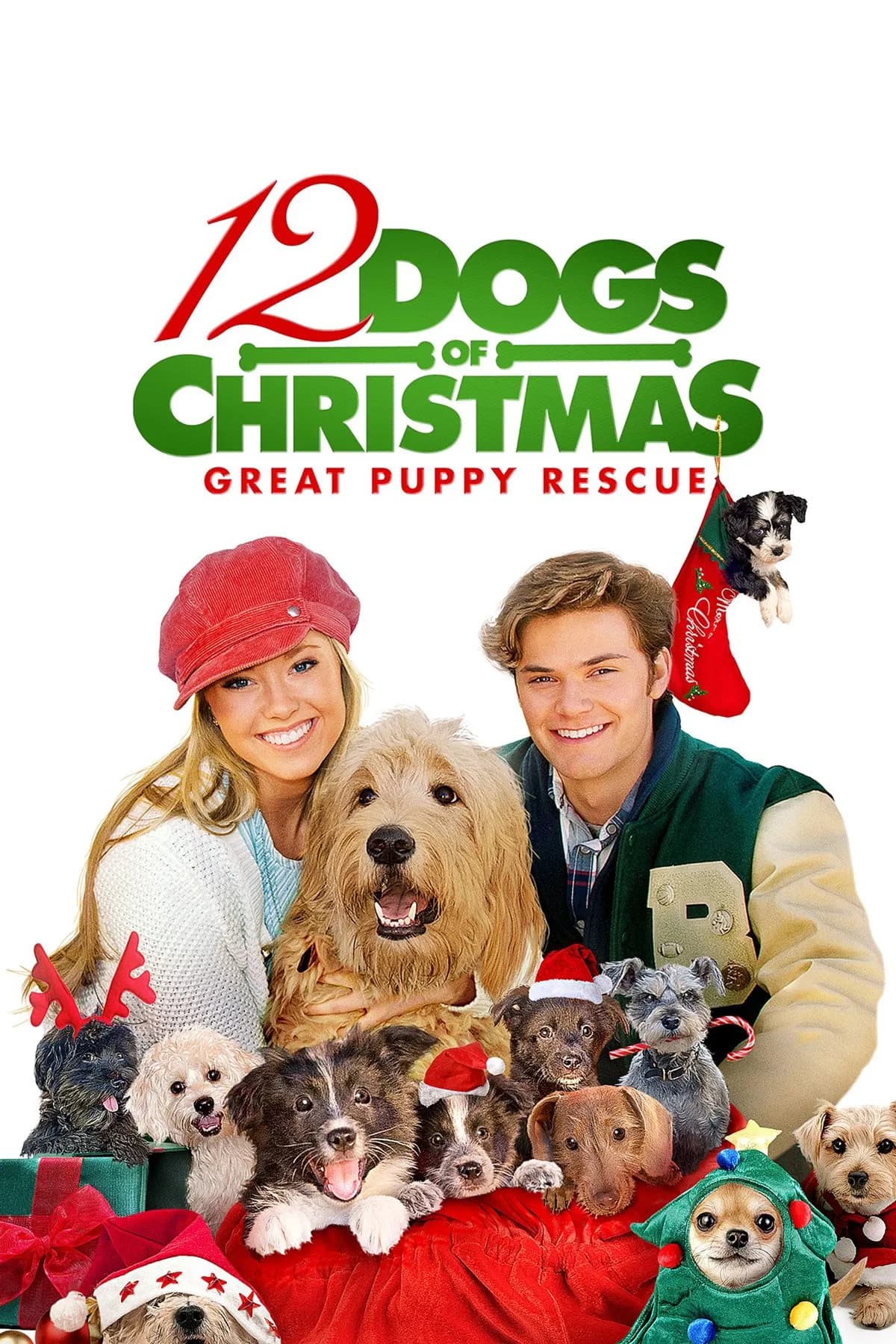 12 Dogs of Christmas: Great Puppy Rescue - Cover