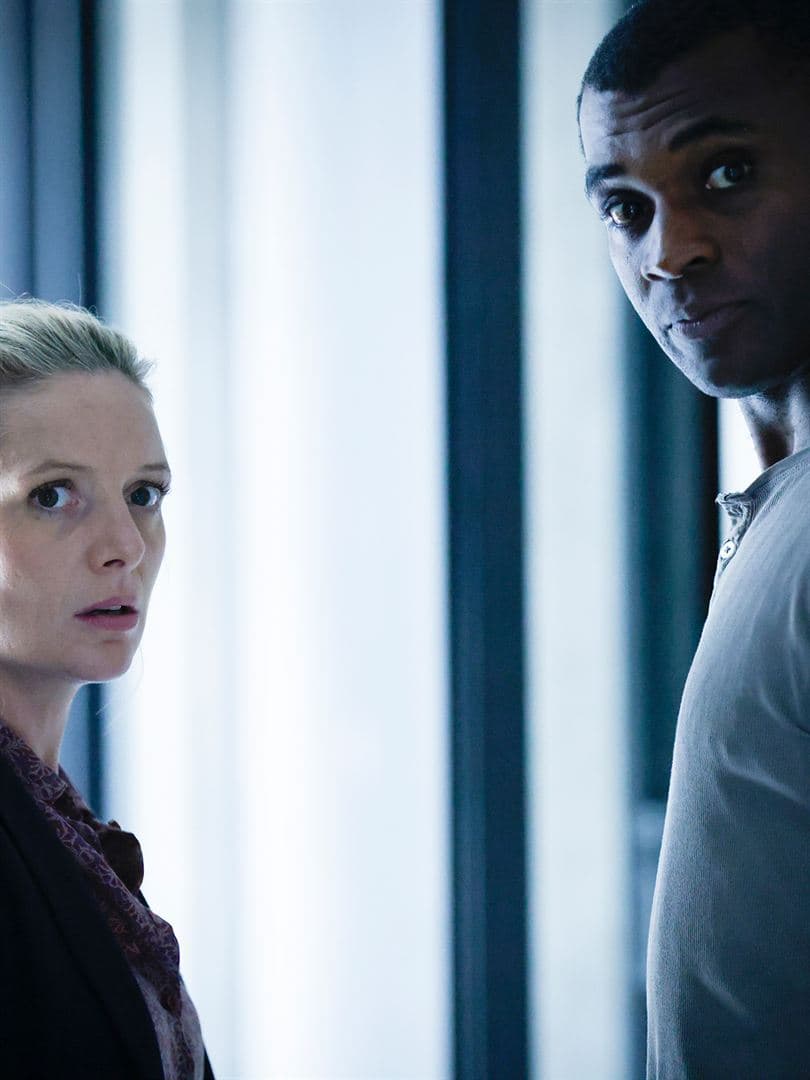 À l'Instinct - Cover