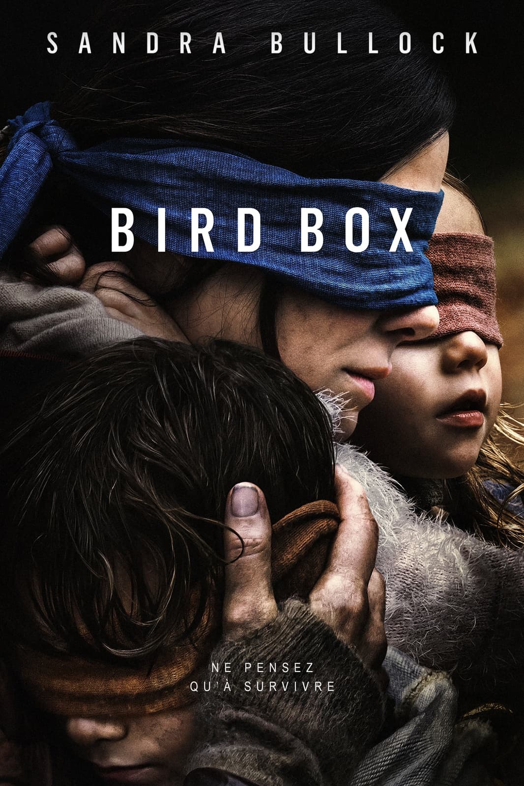 Bird Box - Memory Image