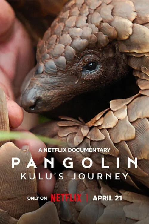Pangolin: Kulu's Journey - Cover