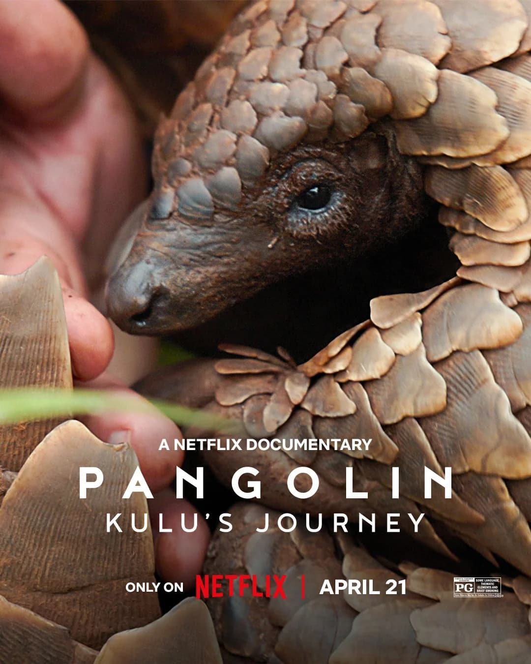 Pangolin : Chemins de vie - Cover