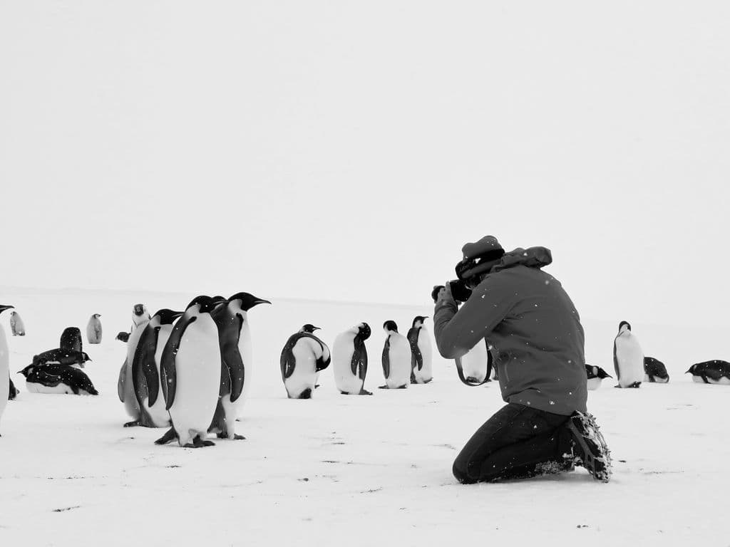 Antarctica Calling