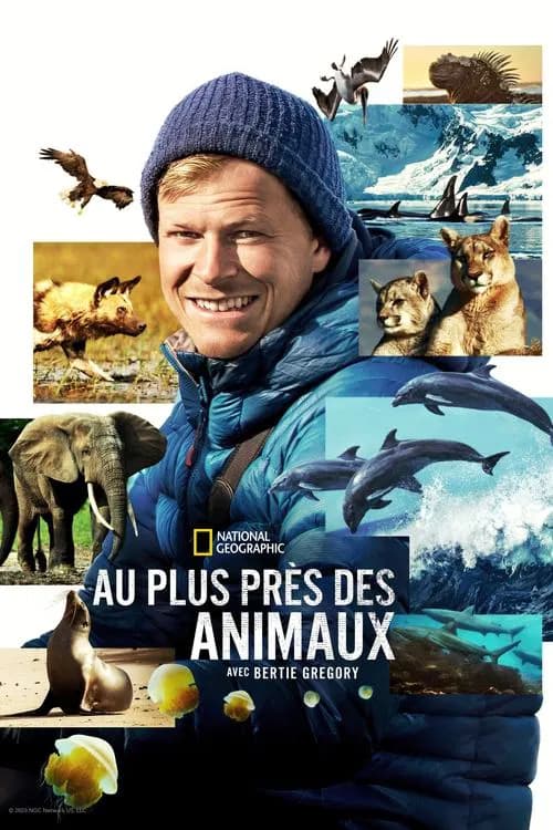 Au plus près des animaux avec Bertie Gregory - Cover