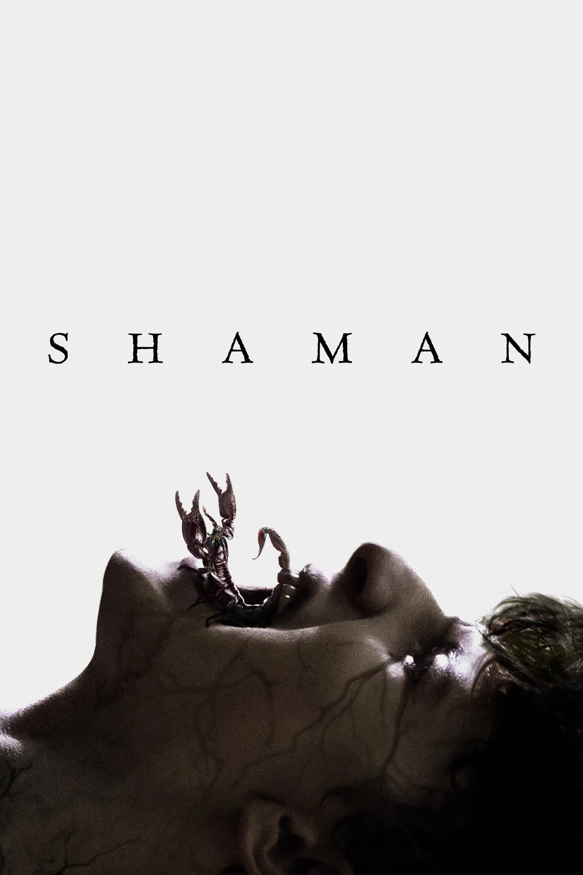 Shaman - Cover