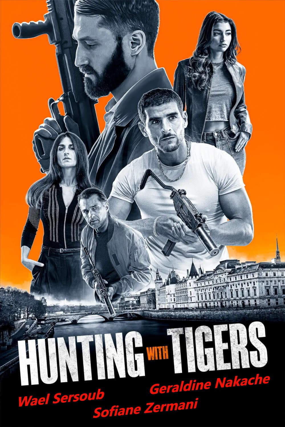 Tigres et hyènes