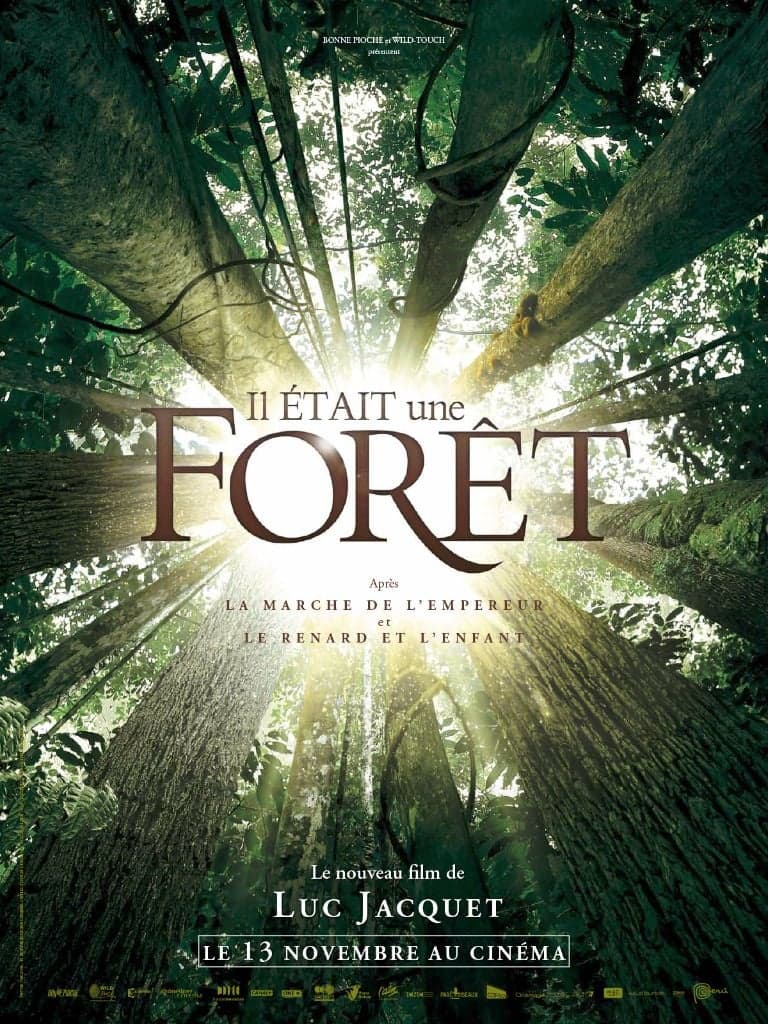 Il était une forêt - Cover