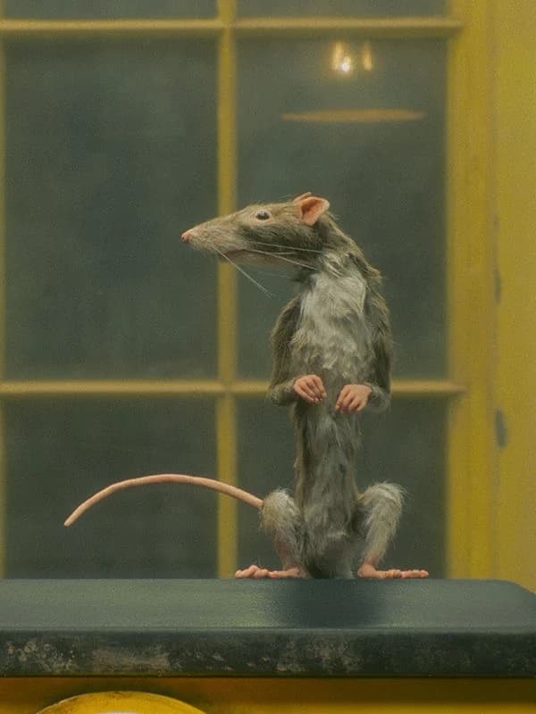 Le Preneur de rats - Cover