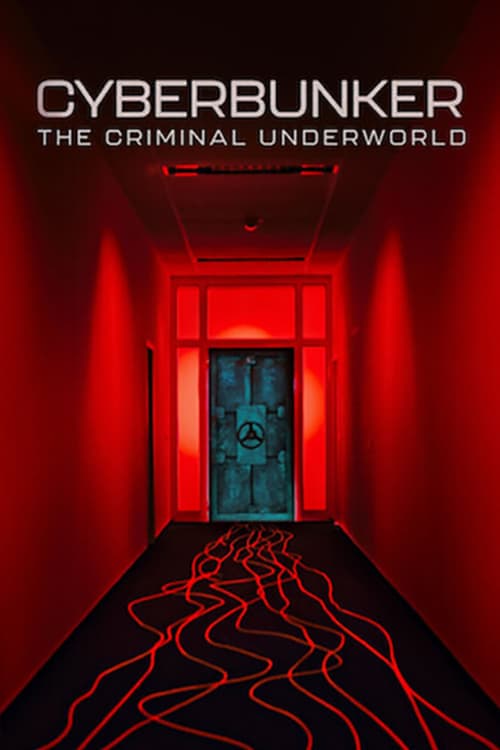Cyberbunker: The Criminal Underworld - Cover
