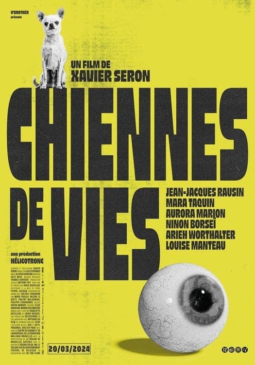 Chiennes de vies - Cover