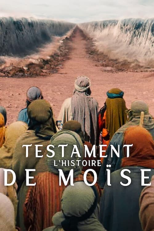 Testament: L'histoire de Moïse Testament: L'histoire de Moïse - Cover