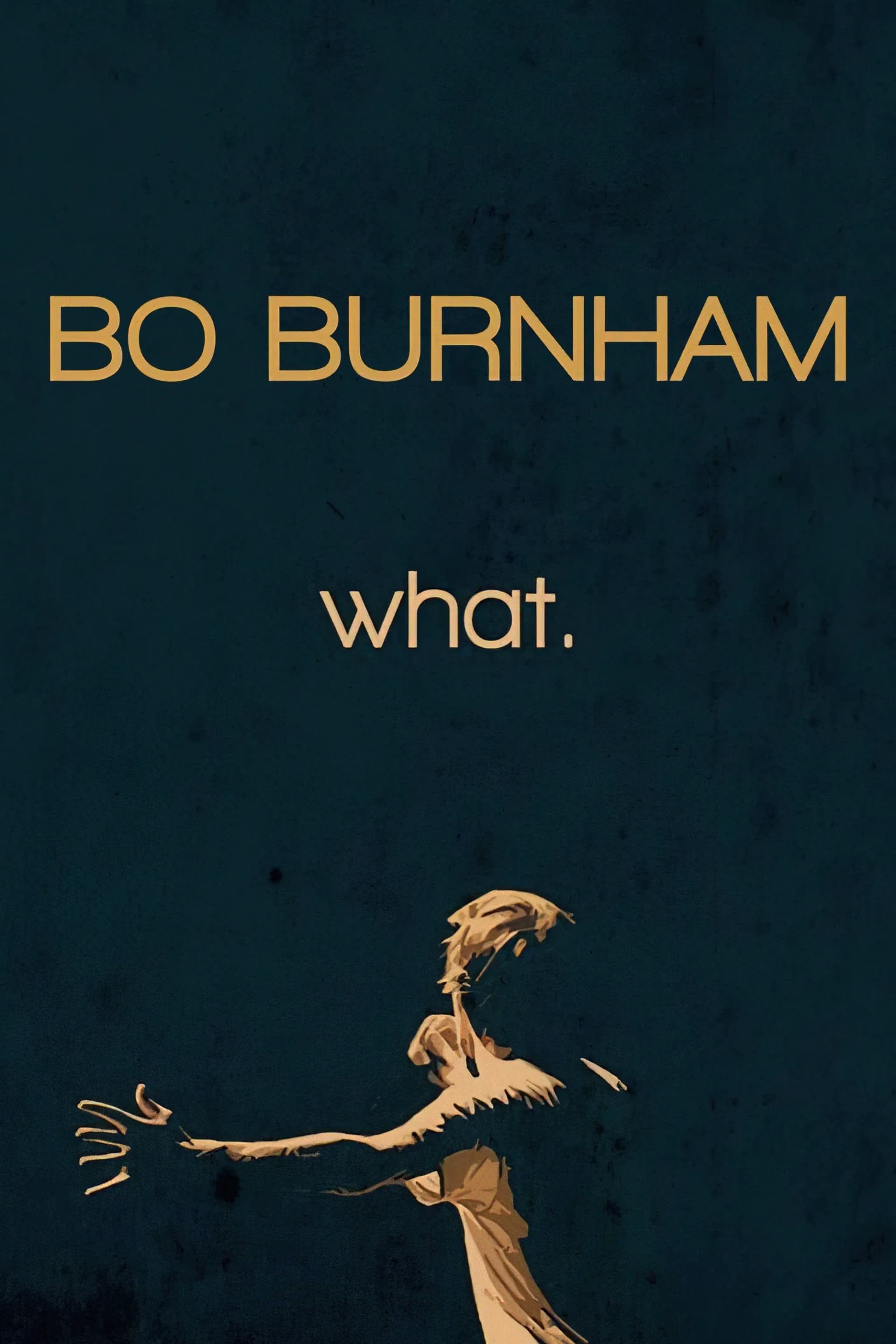 Bo Burnham: What. - Cover