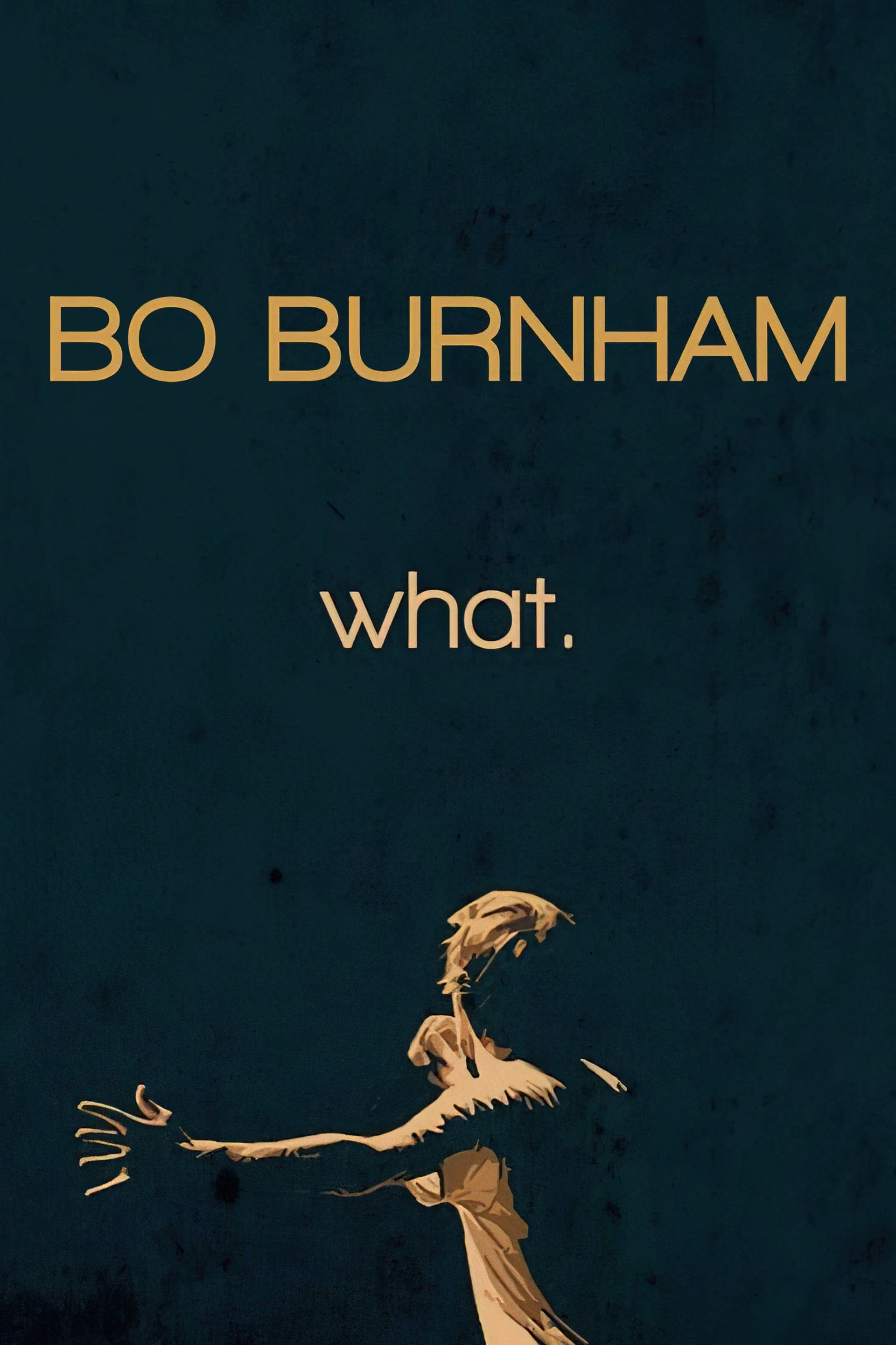Bo Burnham: What. - Cover