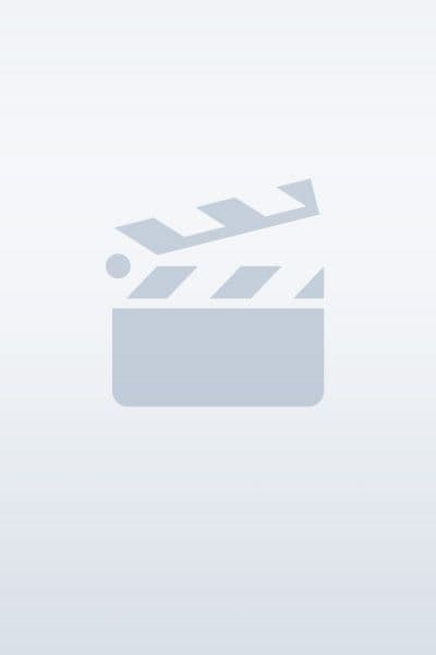 The Labyrinth - Cover