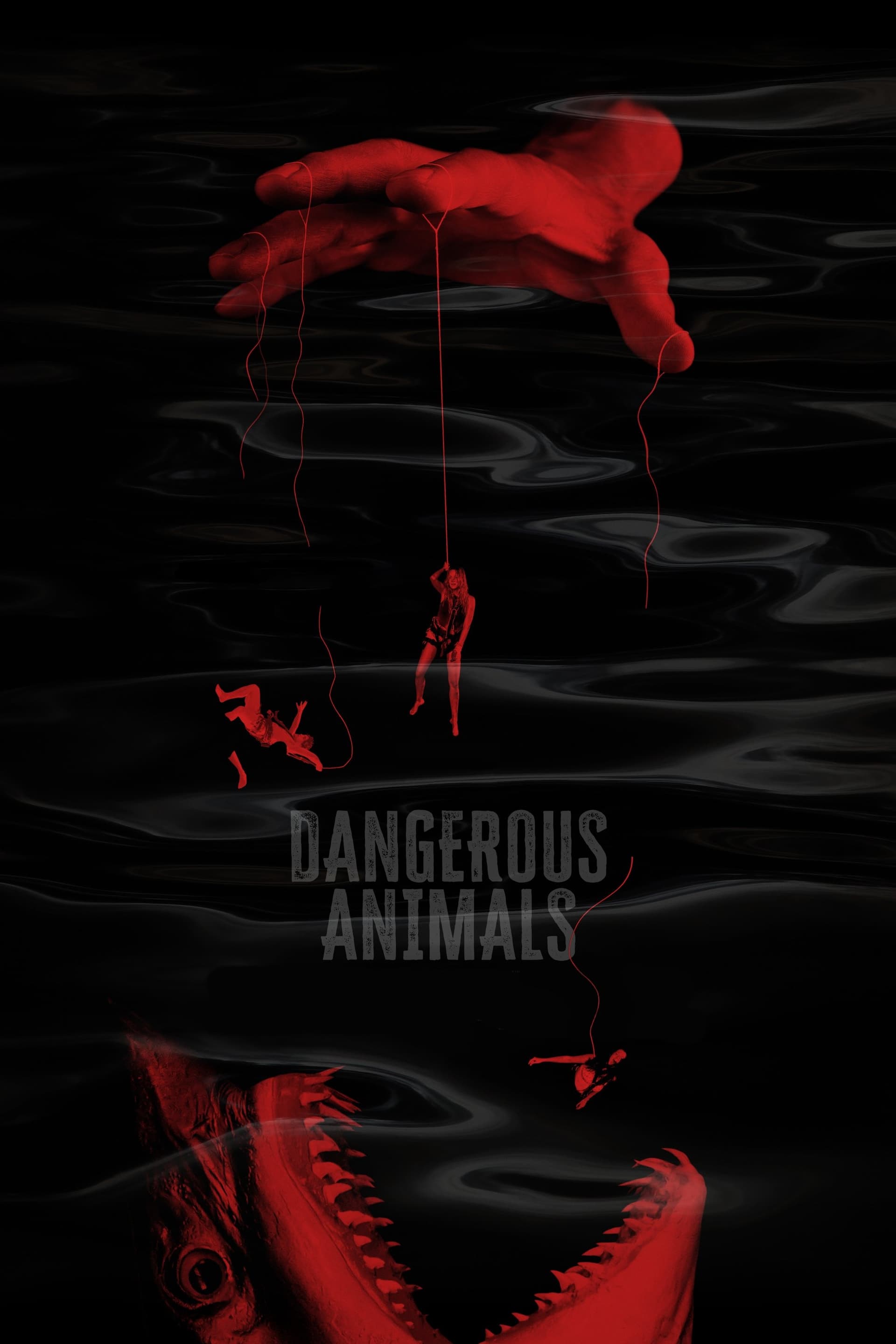 Dangerous Animals - Memory Image