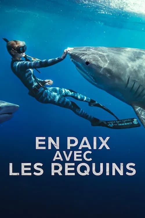 En paix avec les requins