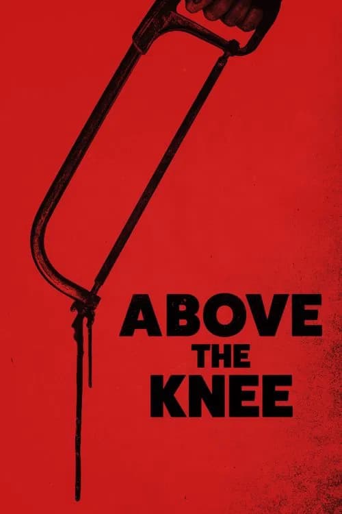 Above the Knee - Cover