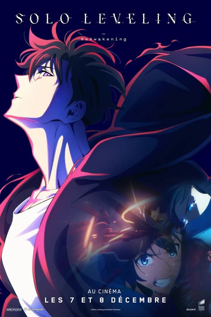 Solo Leveling -ReAwakening- - Cover