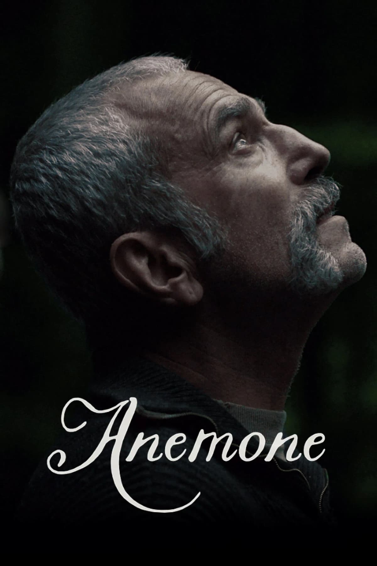 Anemone - Memory Image