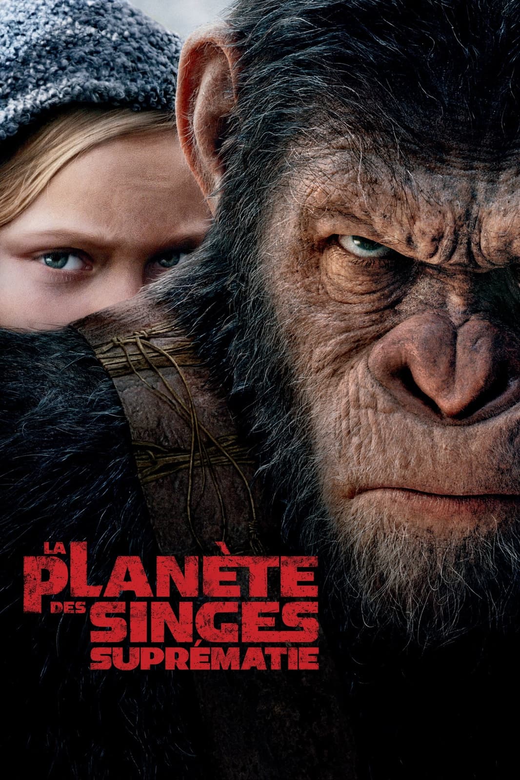 La Planète des singes : Suprématie