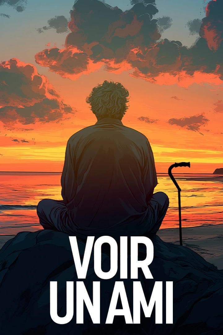 Voir un ami - Cover