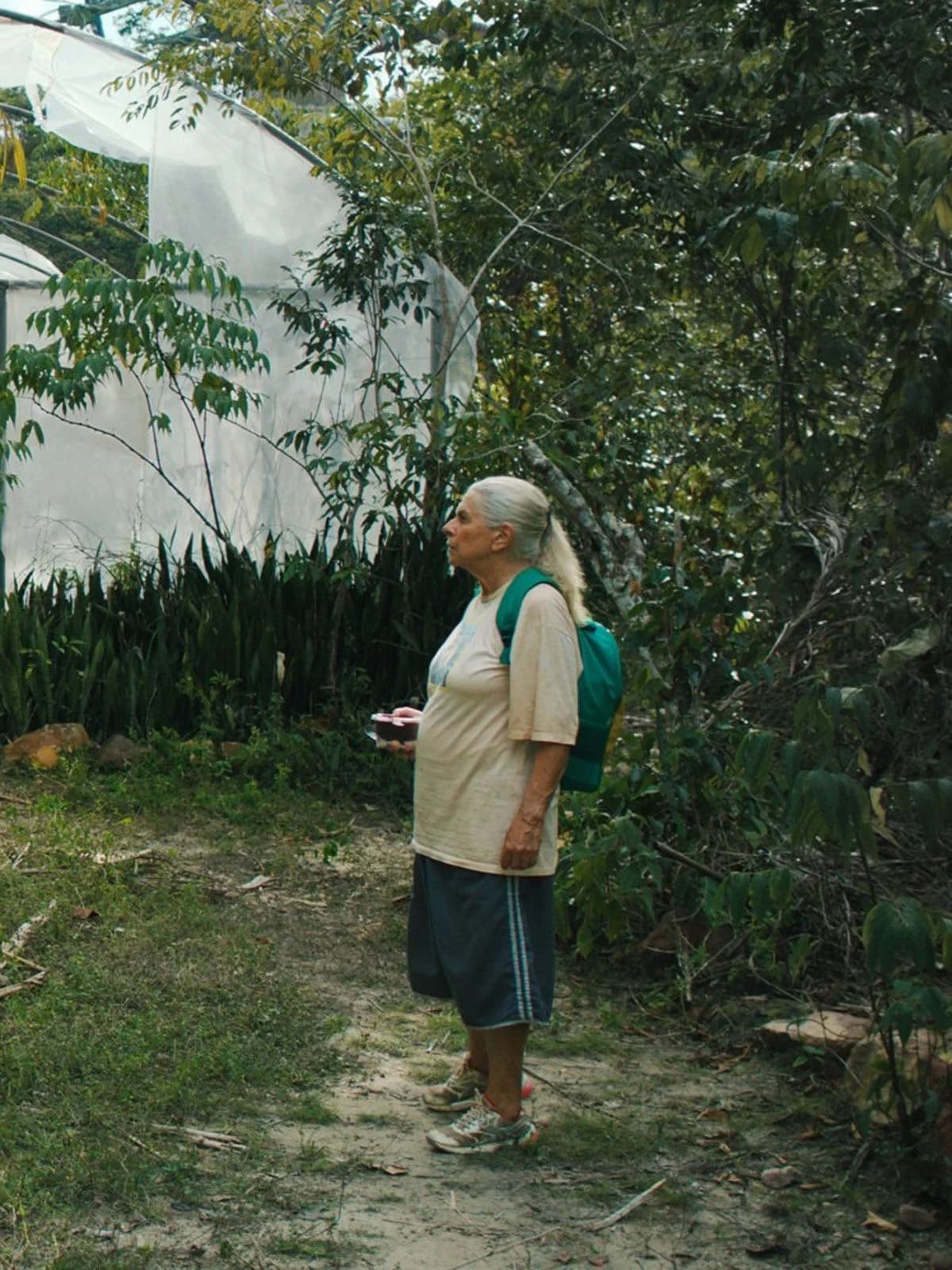 Les Voyages de Tereza - Cover